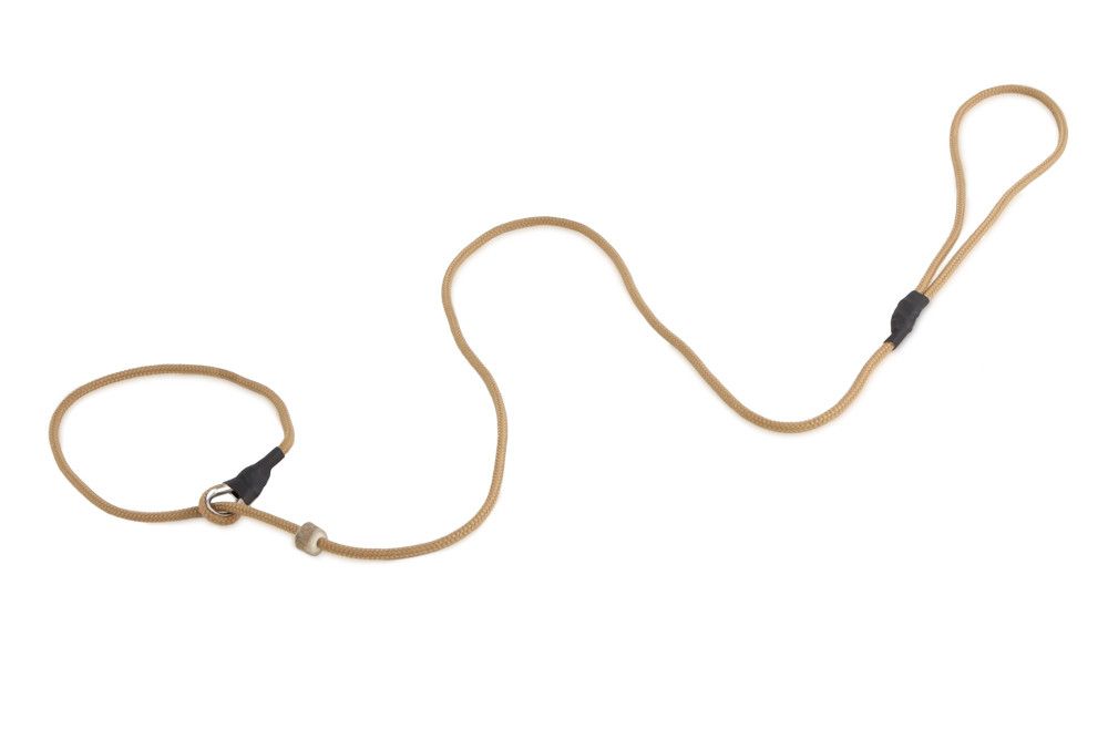 Firedog Moxon Leiband Classic Nylon 5MM Beige