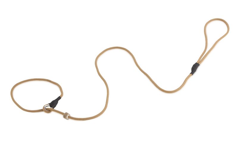 Firedog Moxon Leiband Classic Nylon 5MM Beige