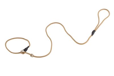 Firedog Moxon Leiband Classic Nylon 5MM Beige