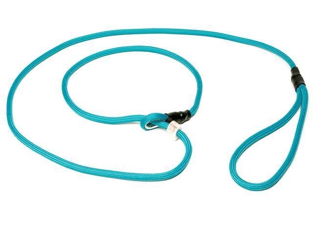 Mystique Moxon Leiband Field Trial Nylon 6MM Turquoise
