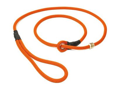Mystique Moxon Leiband Field Trial Nylon 8MM Oranje