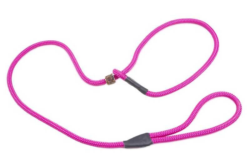 Firedog Firedog Moxon Leiband Classic Nylon 8MM Roze