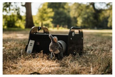 Rabbit&Go Running Rabbit