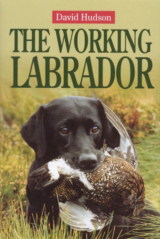 The Working Labrador (David Hudson - EN)
