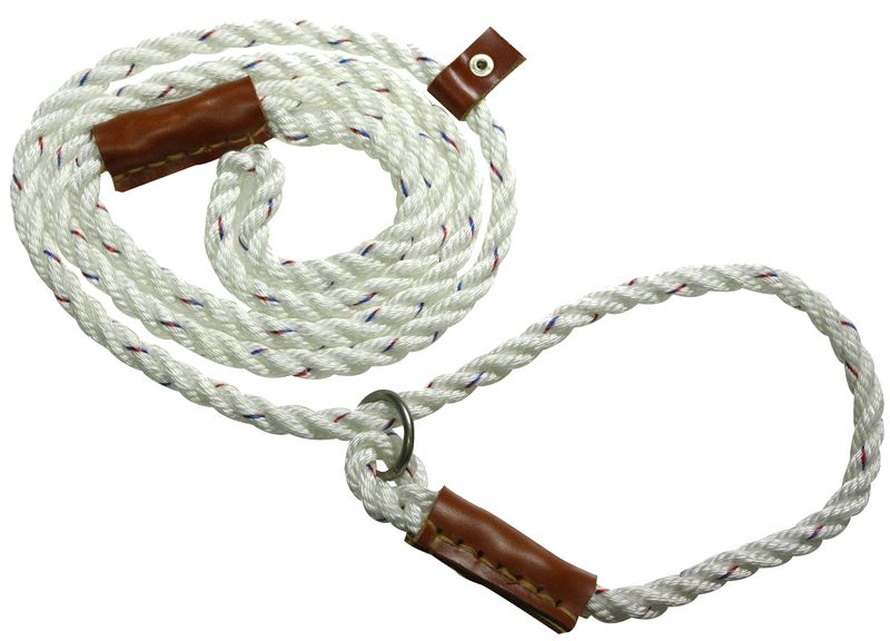 Bisley Leiband Field Trial 8MM/150CM Wit