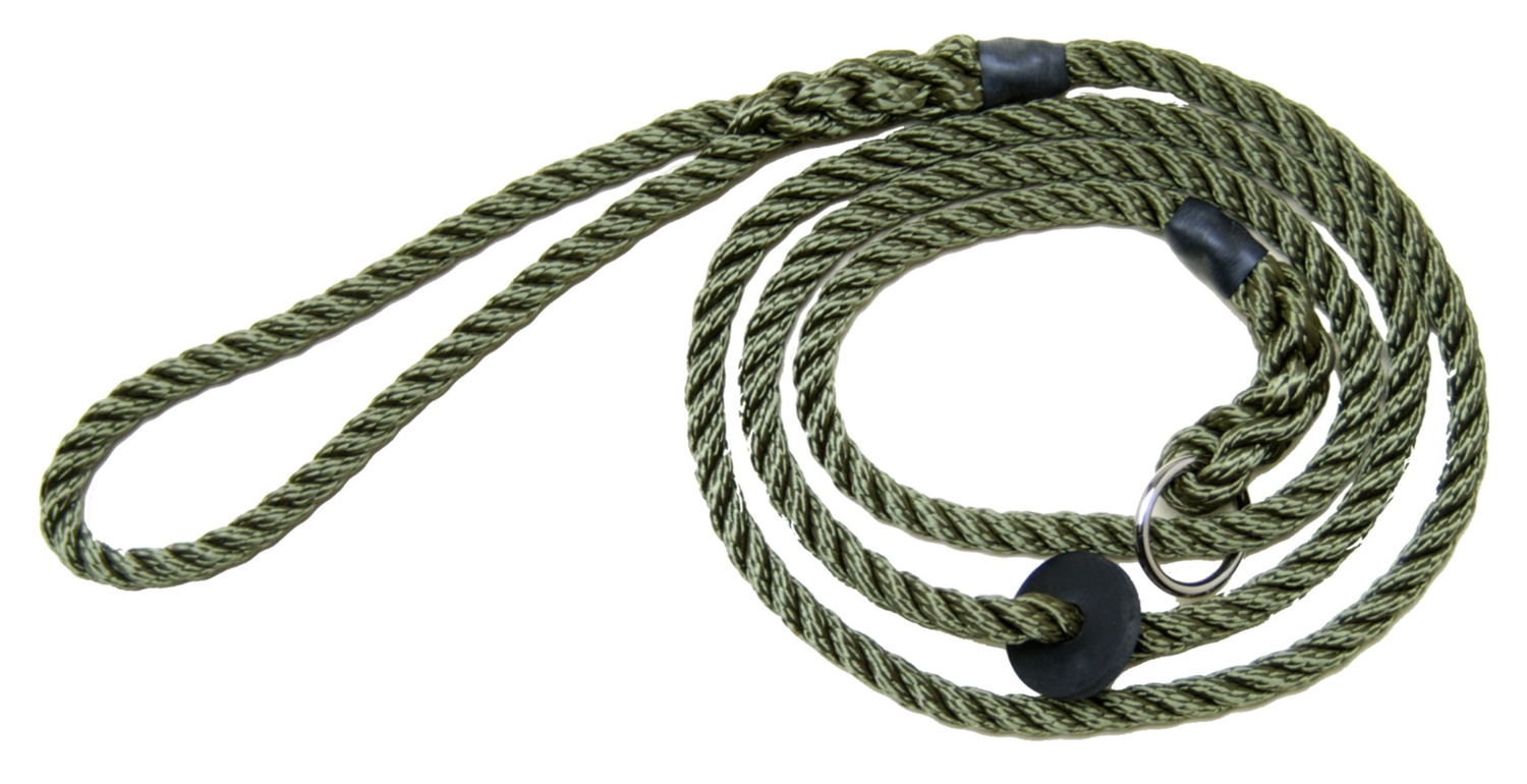 Bisley Leiband Deluxe 8MM/150CM Groen