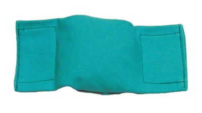 Bisley Puppy Beanbag Dummy Groen