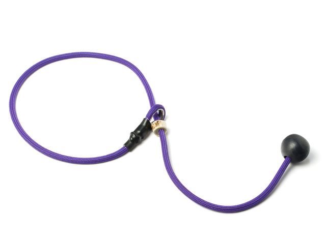 Mystique Field Trial Short Leash 6MM Lila