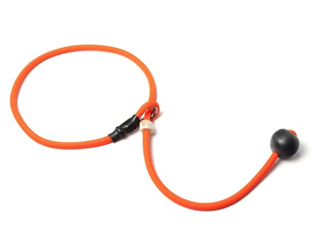 Mystique Field Trial Short Leash 6MM Neon Oranje