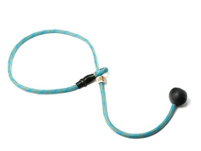 Mystique Field Trial Short Leash 6MM Turquoise/Oranje