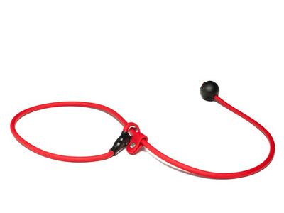 Mystique Biothane Short Leash 6MM Rood