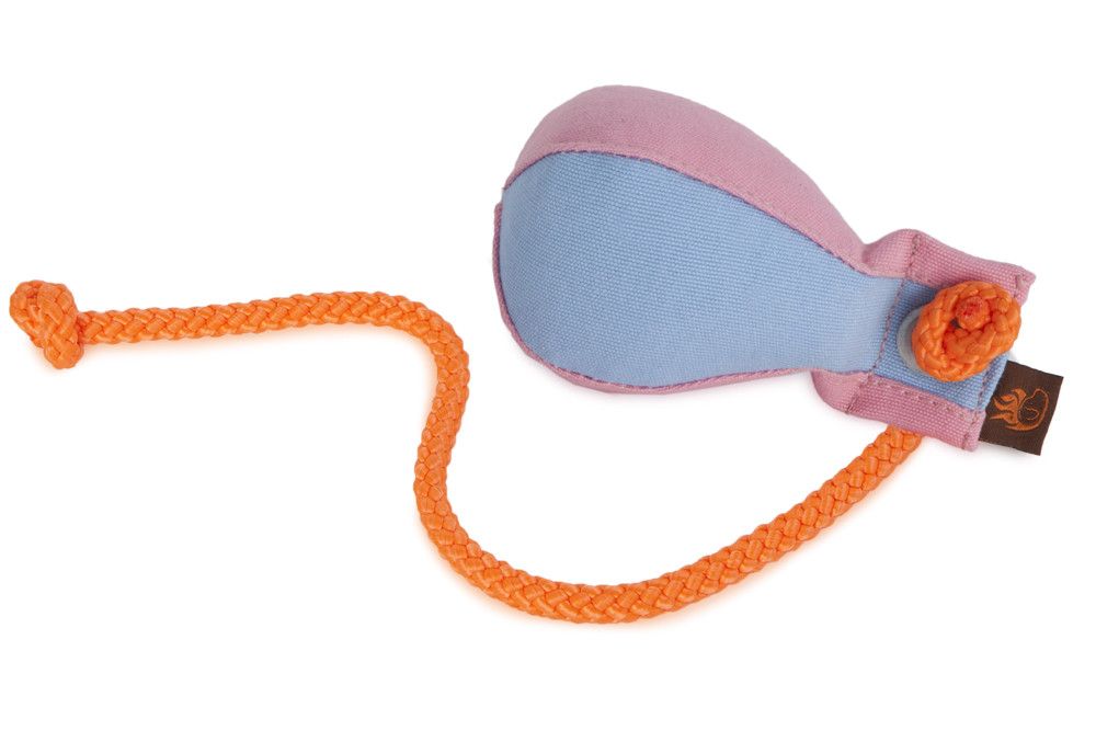 Firedog Dummy Ball Markeer 150 Gram Roze/Lichtblauw