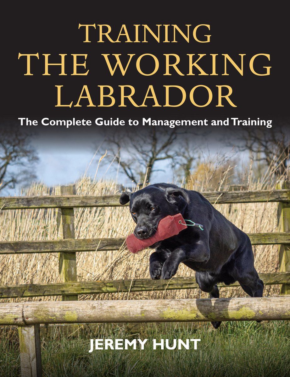 Training The Working Labrador (Jeremy Hunt - EN)