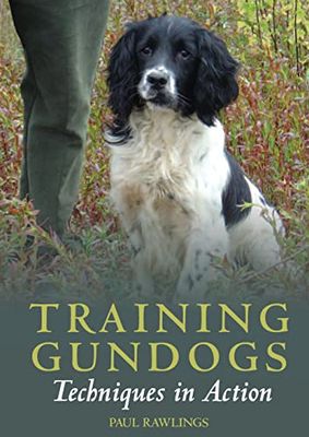 DVD Training Gundogs - Techniques In Action (Paul Rawlings - EN)