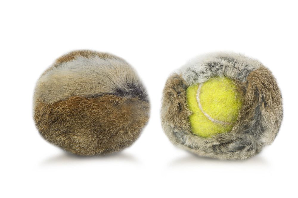 Firedog Tennisbal Konijnenhoes Firedog Tennisbal Konijnenhoes