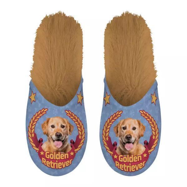 Slippers Golden Retriever