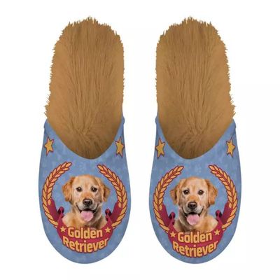 Slippers Golden Retriever