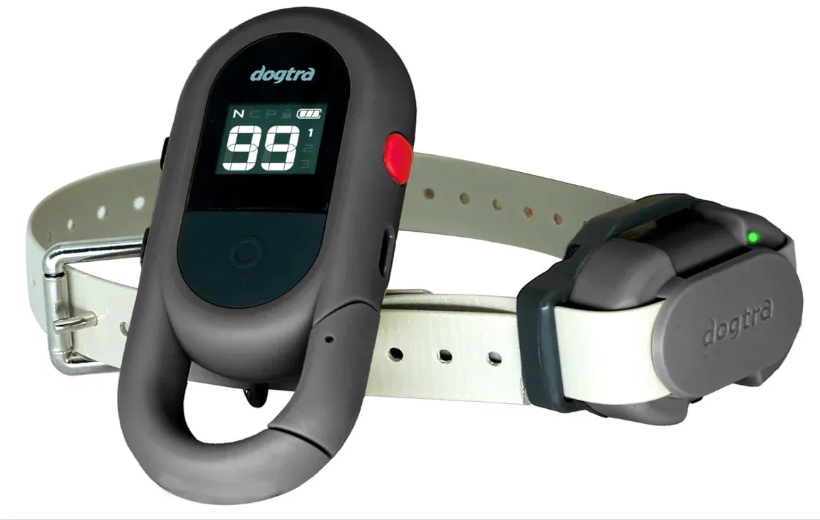 Dogtra Trainingshalsband IQ Flex