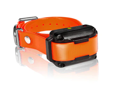Dogtra Ontvanger IQ / IQ Plus
