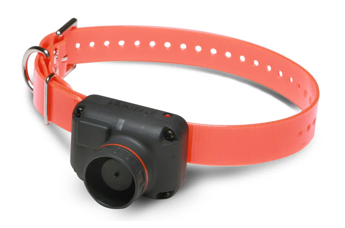 Dogtra Ontvanger RB1000 / RB1002