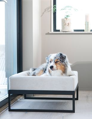 Bia Hondenmand Air Frame