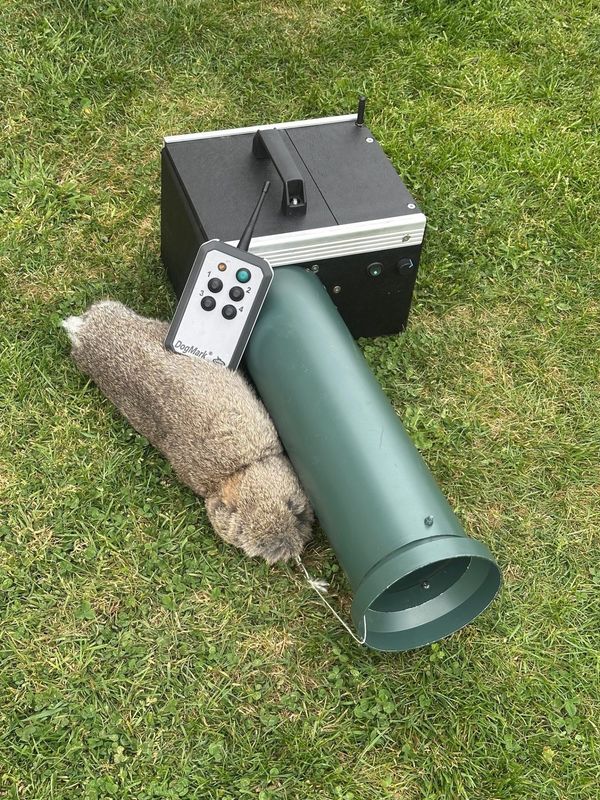 DogMark Remote Bolting Rabbit