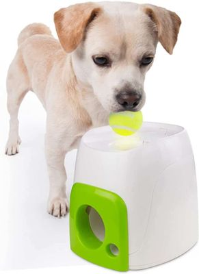 AFP Interactive Fetch N Treat