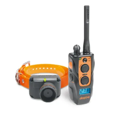 Dogtra Train & Beep 2600
