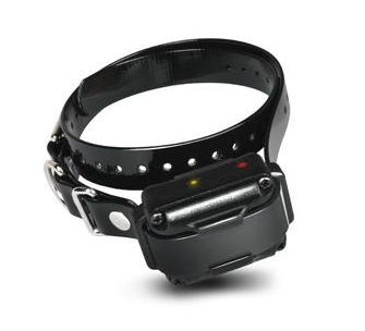 Dogtra Ontvanger IQ / IQ Plus