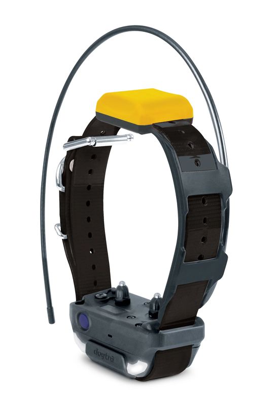 Dogtra GPS Ontvanger Pathfinder 2