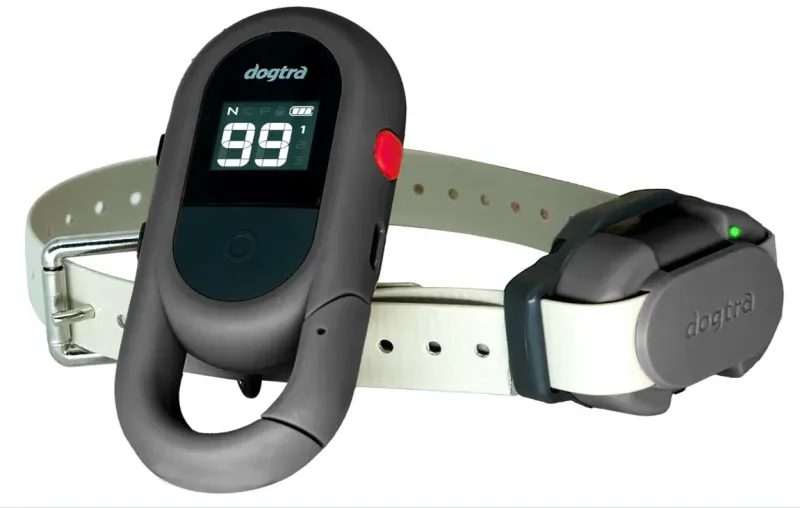 Dogtra Trainingshalsband IQ Flex