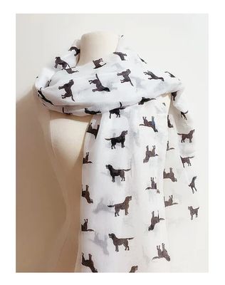 The Labrador Company Sjaal Cashmere Bruin