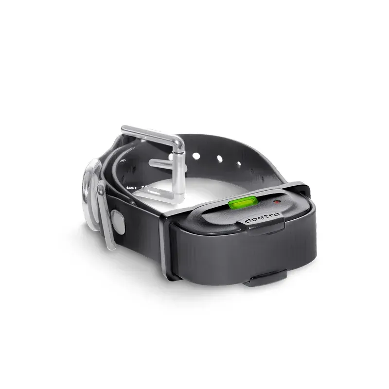 Dogtra Ontvanger IQ Mini