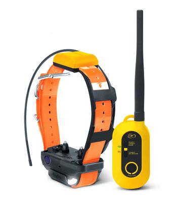 Dogtra GPS Pathfinder 2