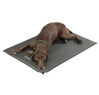 Farmland Hondenkussen Zelfopblazend