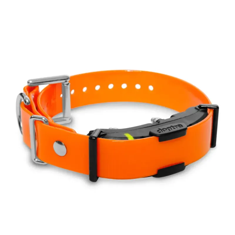 Dogtra Ontvanger ARC800 / ARC802