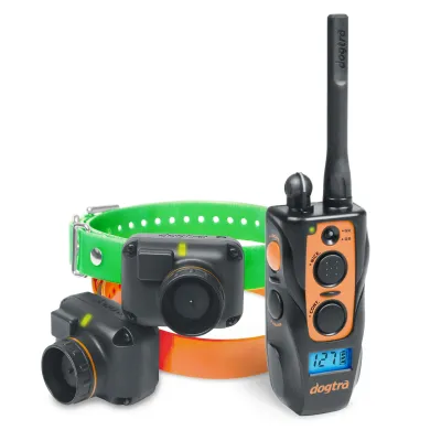 Dogtra Train & Beep 2602