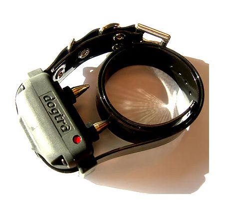 Dogtra Ontvanger NCP Serie