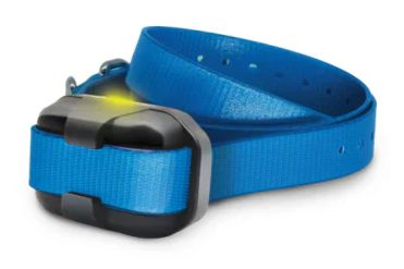 Dogtra Ontvanger 640X