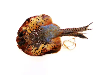 Sporting Saint Fazantenvederkleed Haan