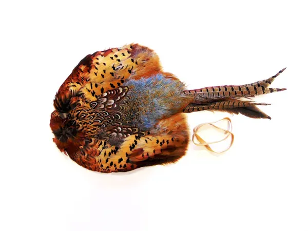 Sporting Saint Fazantenvederkleed Haan