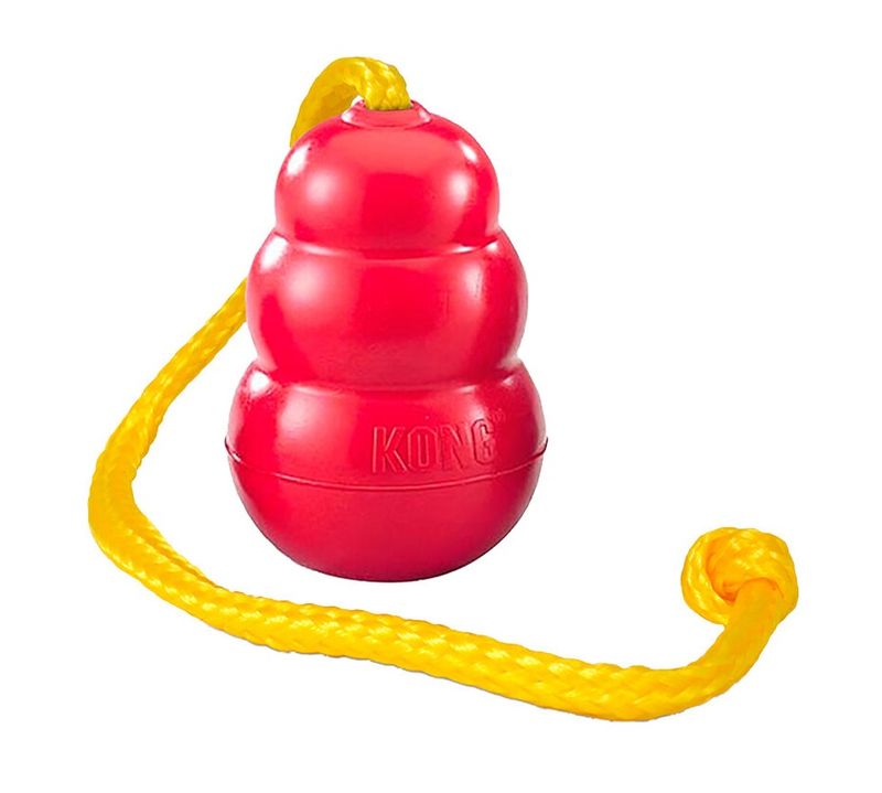 Kong Classic Met Touw