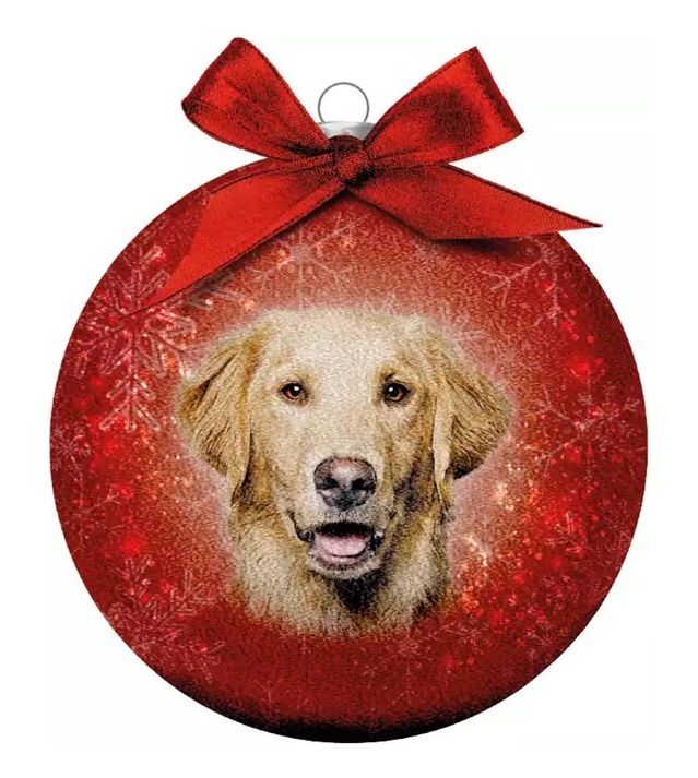 Kerstbal Frosted Golden Retriever Rood
