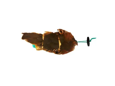 Sporting Saint Patrijsvederkleed Dummy 250 Gram