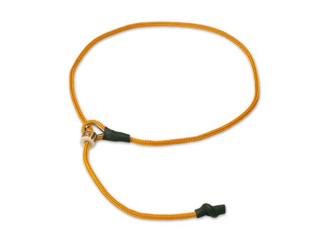 Mystique Field Trial Short Leash 4MM Oranje