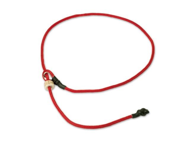 Mystique Field Trial Short Leash 4MM Rood