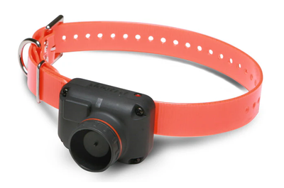 Dogtra Ontvanger RB1000 / RB1002