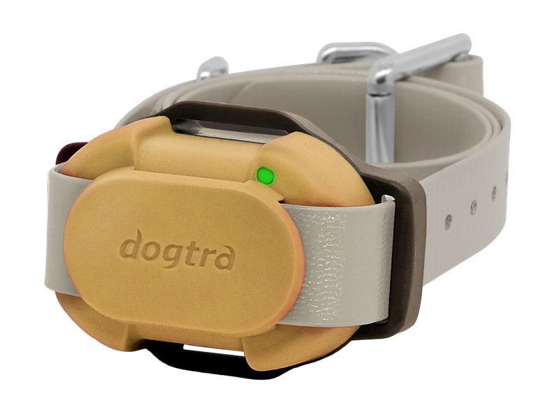 Dogtra Ontvanger IQ Flex