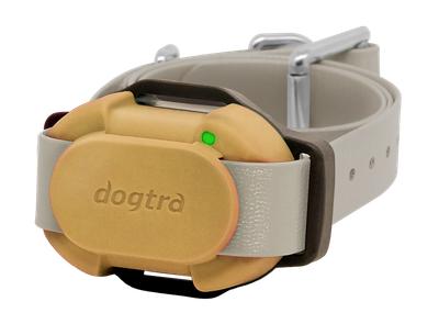 Dogtra Ontvanger IQ Flex