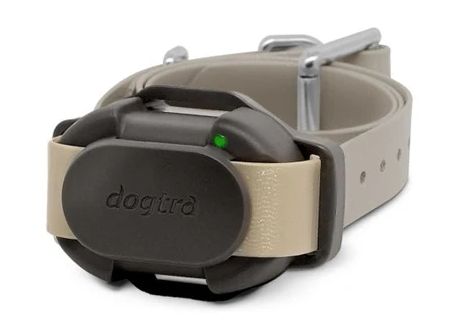 Dogtra Ontvanger IQ Flex